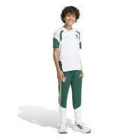 adidas Italië Trainingsshirt 2026-2028 Kids Wit Groen Goud