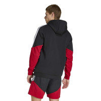 adidas Allemagne Sweat à Capuche 2026-2028 Noir Blanc