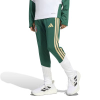 adidas Italië Trainingsbroek 2026-2028 Kids Groen Wit Goud