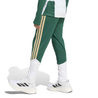 adidas Italië Trainingsbroek 2026-2028 Kids Groen Wit Goud