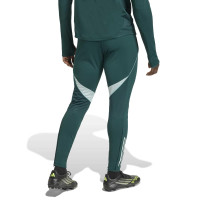 adidas Arsenal Trainingsbroek 2025-2026 Donkergroen Grijs