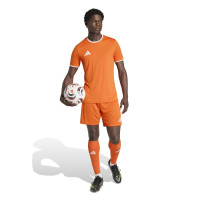 adidas Entrada 26 Voetbalshirt Oranje Wit