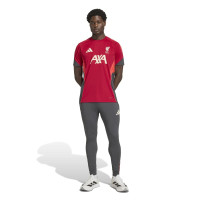 adidas Liverpool Pantalon d'Entraînement 2025-2026 Gris Rouge