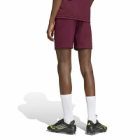 Kit de football adidas Entrada 26 pour Enfants, rouge foncé, blanc