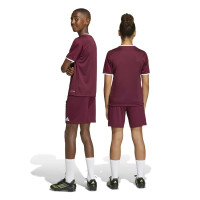 adidas Entrada 26 Voetbalbroekje Kids Donkerrood Wit