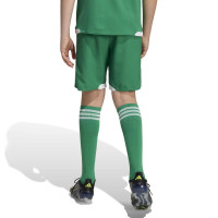 Shorts de football de compétition adidas Tiro 26 pour enfants, vert et blanc
