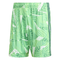 adidas Tiro 26 Competition Keepersbroekje Lichtgroen