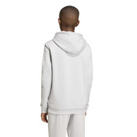 Survêtement à capuche adidas Entrada 26 pour Enfants, gris et blanc