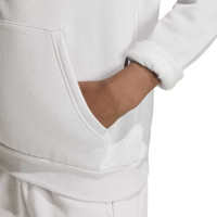 adidas Entrada 26 Hoodie Kids Grijs Wit