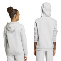 adidas Entrada 26 Hoodie Kids Grijs Wit