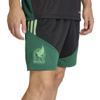 adidas Mexico Trainingsset 2026-2028 Zwart Lichtgroen Groen