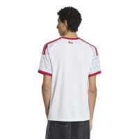 adidas Verenigde Arabische Emiraten Thuisshirt 2026-2028