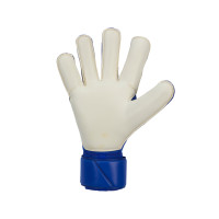 Nike Grip3 Keepershandschoenen Blauw Zwart Felroze