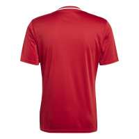 Maillot de football adidas Campeon 25 rouge blanc