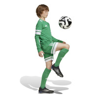 Maillot de football à manches longues adidas Squadra 25 pour enfants, vert et blanc