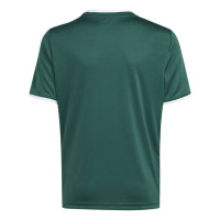 Maillot de football adidas Entrada 26 pour Enfants, vert foncé, blanc