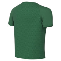 Nike Dri-FIT Park VIII Voetbalshirt Kids Donkergroen Wit