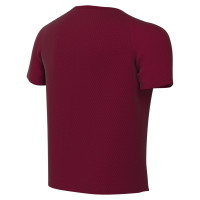 Nike Dri-FIT Park VIII Voetbalshirt Kids Donkerrood Wit