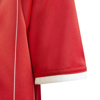 Maillot de football adidas Entrada 26 GFX pour Enfants, rouge et blanc