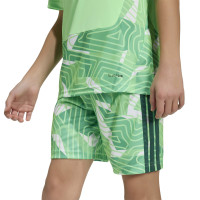 Maillot de gardien de but adidas Tiro 26 Competition Goalkeeper pour Enfants, vert clair