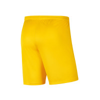 VV 't Goy Keepersshort Junior Geel