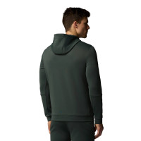 Sweat à capuche Castore Flex Lifestyle vert foncé