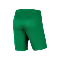 VV Kamerik Keepersshort Junior