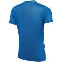 VV Zeewolde Trainingsshirt Senior Blauw