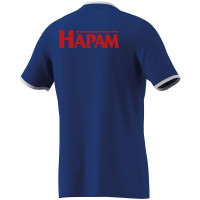 SV Spakenburg Trainingshirt Senior Blauw