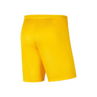 SV Terheijden Keepershort Junior Geel