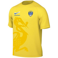 ZVV Zwaag Thuisshirt Senior Geel (blanco)