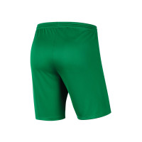 WV HEDW Keepersshort Kids Groen