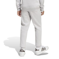 Combinaison De Jogging Adidas Entrada 26 Crew Pour Enfants, Gris Et Blanc