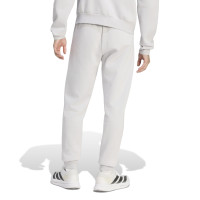 adidas Entrada 26 Hoodie Joggingpak Grijs Wit