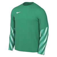 Maillot de gardien de but à manches longues Nike Dri-FIT Park Goalkeeper V vert clair blanc