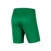 VV 't Goy Keepersshort Senior Groen
