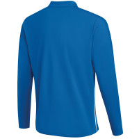 SV DIOS Trainingstrui 1/4 Zip Trainers Blauw