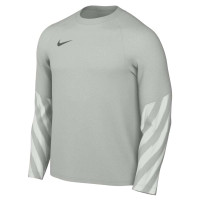 Chemise de gardien de but à manches longues Nike Dri-FIT Park Goalkeeper V gris clair noir