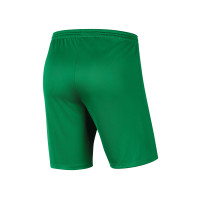 SV Donk Keepersshort Junior Groen