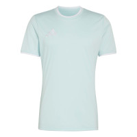 adidas Entrada 26 Voetbalshirt Mintgroen Wit
