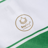 Amstelveen Heemraad Wedstrijdshirt Dames Wit Groen