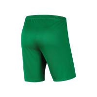 AFC TABA Keepersshort Groen