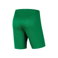 AFC TABA Keepersshort Kids Groen