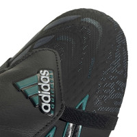 adidas Predator Elite FT EQT IJzeren-Nop Voetbalschoenen (SG) Zwart Groen