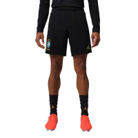 Nike Brésil x Jordan Academy Pro Short d'Entraînement 2026-2028 Noir Jaune Vert Menthe