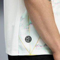 Maillot extérieur PUMA Austria 2026-2028