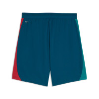 PUMA Portugal Trainingsbroekje 2026-2028 Blauwgroen Wit