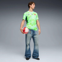 PUMA Zwitserland Uitshirt 2026-2028