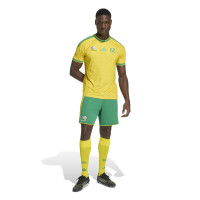 adidas Zuid-Afrika Thuisshirt 2026-2028