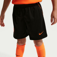 Nike Nederland Minikit Thuis 2026-2028 Kleuters